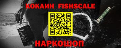 гашик Будённовск