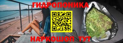 гашик Будённовск