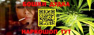 гашик Будённовск