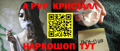 гашик Будённовск