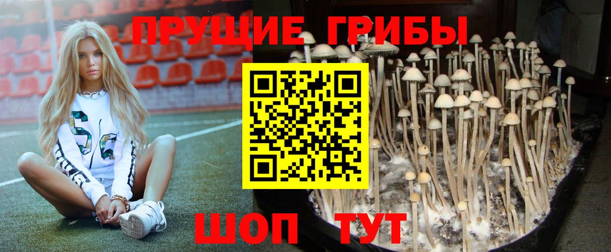 Галлюциногенные грибы Cubensis  Вход с VPN  Арзамас  Галлюциногенные грибы Psilocybine cubensis 